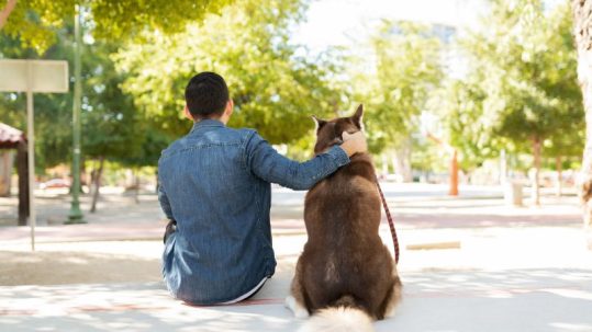mejorar la relación con tu perro